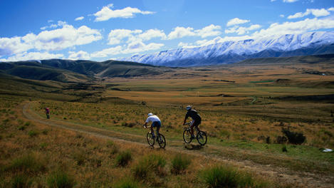 Image_1426-3