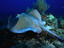 Image_14265-112