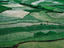 Rice paddies, Yúnnán