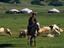 Image_14314-3