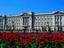 Image_1437-41