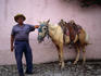 Local man and horse from the Northern Highlands of Guatemala.