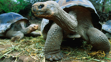 Image_14409-2