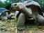 Image_14409-2