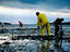 Residents raking mud for shellfish at Indian Neck Beach.