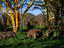 Image_1449-20