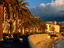 Palm tree, Corsica