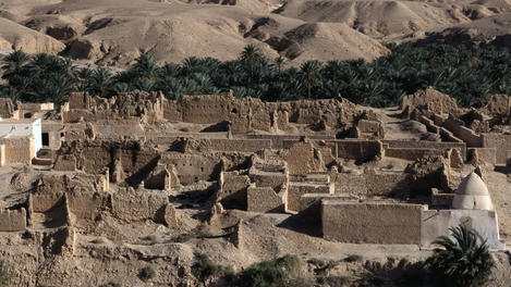 Image_1466-2