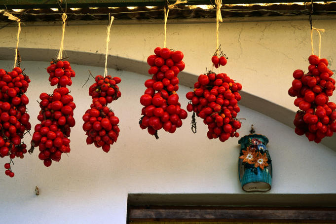 Tomatoes hanging up to dry.
