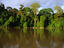 The peaceful Sungai Kinabatangan is the longest river in Sabah