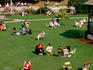 People sitting in park.