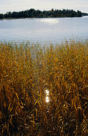 The sea penetrates into the suburbs near Seurasaari.