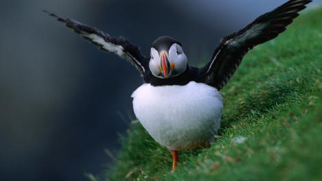 Image_14788-7