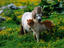 Image_14788-9