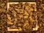 Silkworm larvae or bondaegi, is a popular and common street stall snack in Seoul.