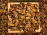 Silkworm larvae or bondaegi, is a popular and common street stall snack in Seoul.