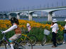 The Hangang bicycle path stretches for over 30km's through Seoul's parks, sports grounds and gardens.