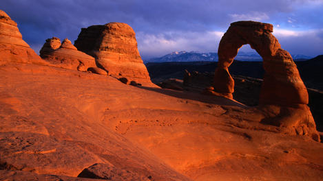 Image_14820-16