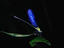 Image_14830-23