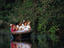 Eco tourists on boat tour, Kinabatangan River.