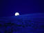Image_14831-35