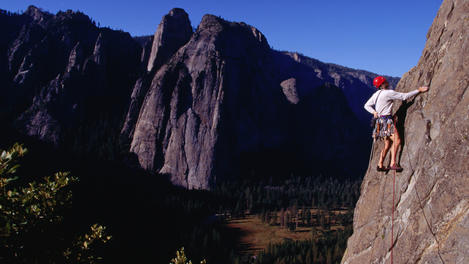 Image_14833-1