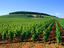 Image_14850-13