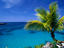 Image_14854-7