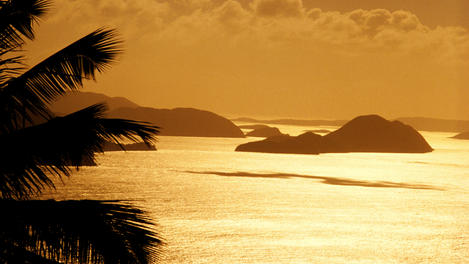 Image_14856-4