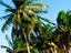 Beach, Belize