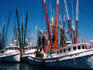 Shrimp boats, Key West.