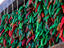 Image_149-502