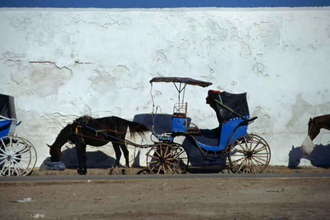 Morocco Image - Horse and carriage taxi, Essa