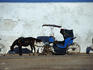 Horse and carriage taxi, Essaouira