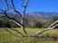 Image_14913-30