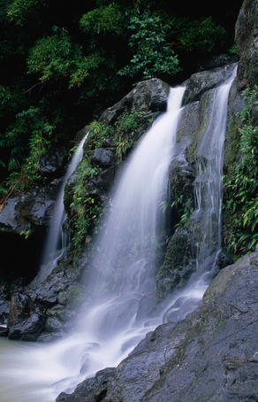 The first falls of the Na'ili'ili-haele on the Hana Highway.