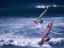 Windsurfing, Hawaii