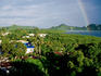 Town, trees and rainbow from Hotel Palasia.