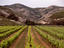 Image_14924-13