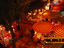 Image_1504-3