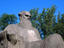 Image_15070-43