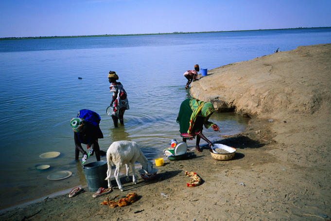 A goat drinks and scavenges while women wash pots and collect water from the River Niger in a small village near the town of Mopti - Mopti