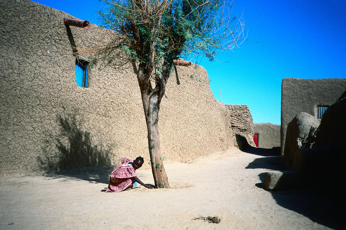 A young girl by a tree in the sunshine outside a house built in the traditional style, using rendered mud-bricks, in a small village on the River Niger, near Mopti - Mopti