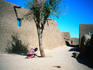 A young girl by a tree in the sunshine outside a house built in the traditional style, using rendered mud-bricks, in a small village on the River Niger, near Mopti - Mopti