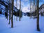 Image_15169-3
