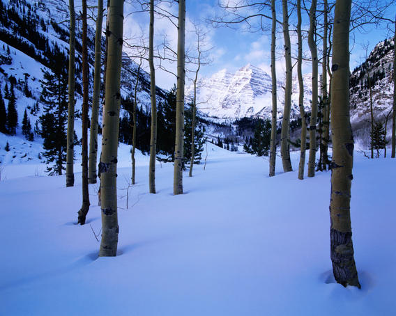 Maroon Bells mountains with Aspen trees in winter.