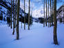 Maroon Bells mountains with Aspen trees in winter.