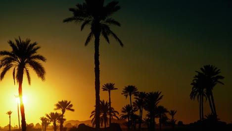 Sunset at Oasis village in South Morocco (Tafilalet region).