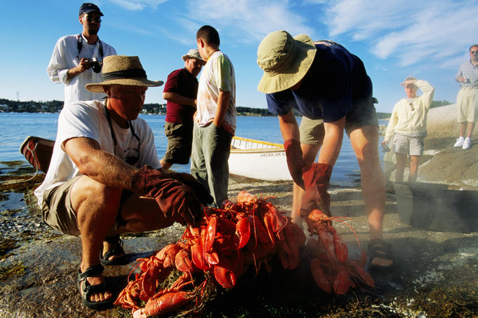 Lobster bake on beach.