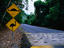 National Park, Far North Queensland